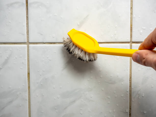 Creighton, NE Mold Removal Company